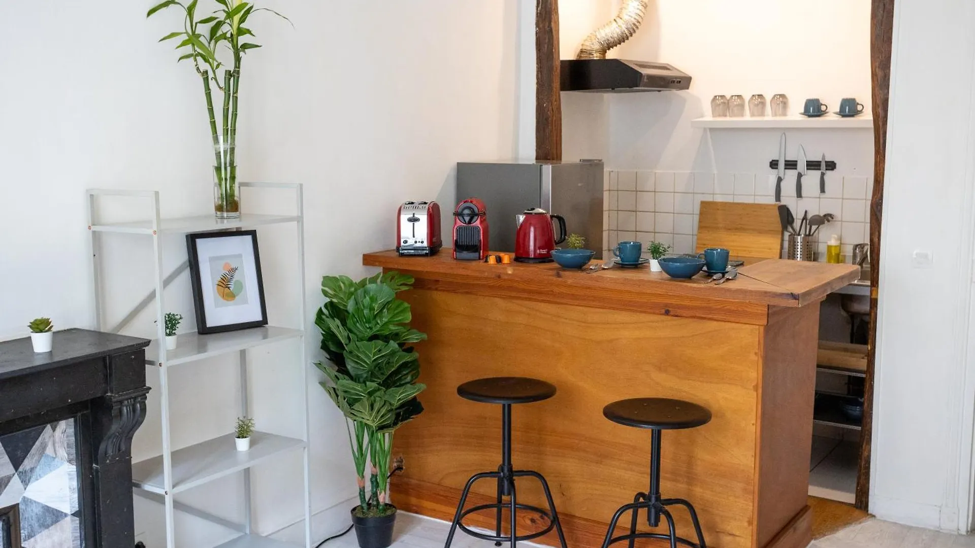 Luxury Parisian Notre Dame Saint Germain Des Pres Apartment